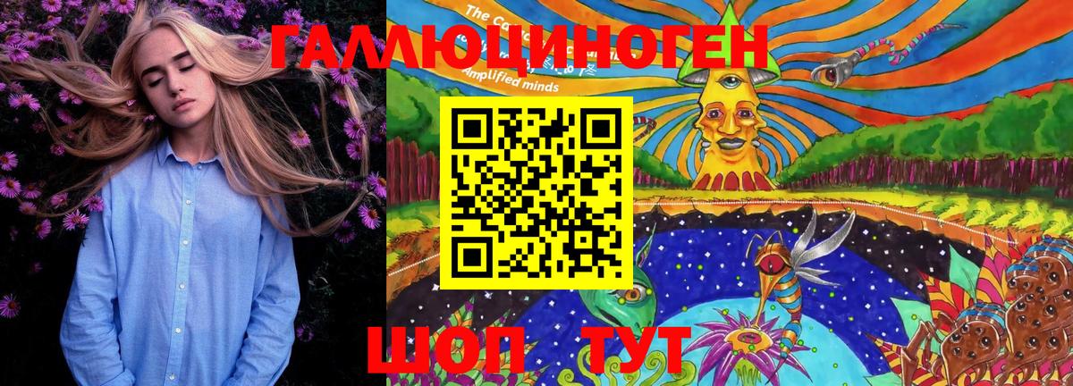 Геленджик  Галлюциногенные грибы GOLDEN TEACHER  Вход с VPN 