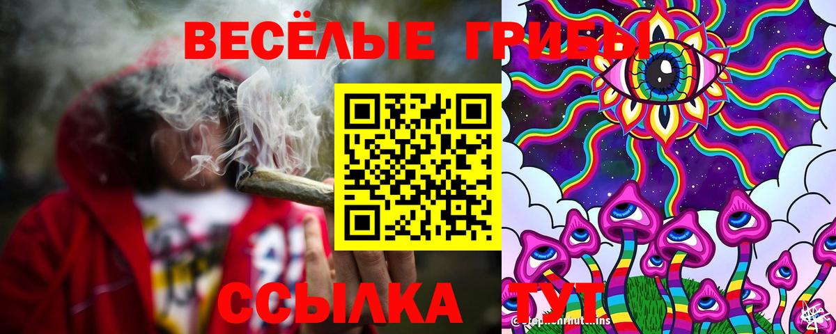 Псилоцибиновые грибы Psilocybe Геленджик